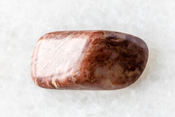 polished lemesite stromatolitic limestone on white