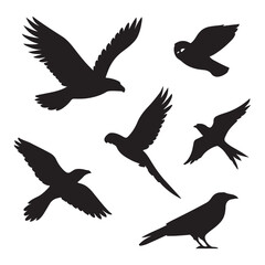 Collection of Bird Silhouettes Eagle Owl Parrot Swallow Crow and Generic Bird