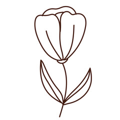 Doodle Illustration of Floral 