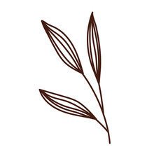 Doodle Illustration of Floral 