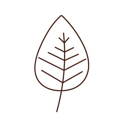 Doodle Illustration of Floral 