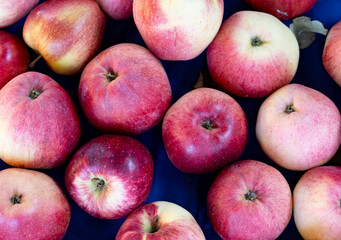 A bunch of apples are on a blue surface