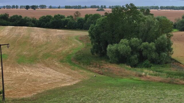 Aerial view of golden harvested fields meeting lush green meadows and tree lines under an overcast sky, Br&uuml;ssow, Brandenburg, Germany.