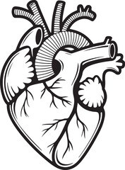 Anatomical Heart with Abstract Rays – Conceptual Medical Vector