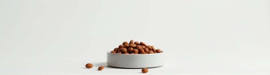 Pet feeding setup with dry food bowl centered on white background