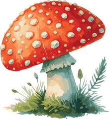 Vector watercolor painted illustration of a red amanita mushroom