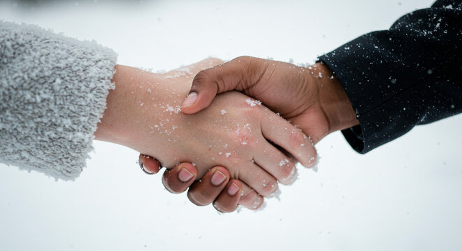 Two individuals shaking hands in a snowy outdoor setting with flakes visibly falling between them symbolizing agreement or partnership.