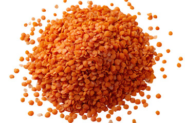 Close-up view of red lentils arranged against a stark transparent background for visual appeal