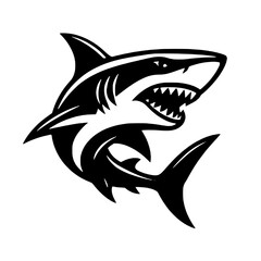 vector illustration of a shark