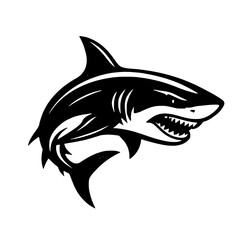 shark vector illustration