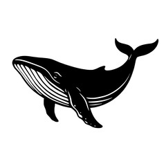 vector illustration of a cartoon whale