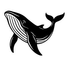 whale in black and white concept