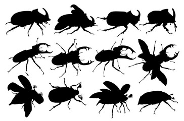 The set of beetles silhouettes. 
