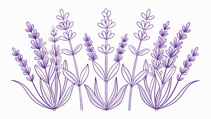Outlined line art of lavender flowers in a simple minimalist style, soft elegant shapes, delicate botanical beauty, evoking calmness, relaxation, and natural charm for decor, packaging, or tranquil 