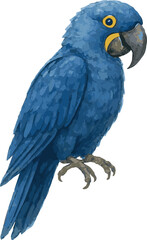 Vector adorable watercolor illustration of a hyacinth macaw ara parrot
