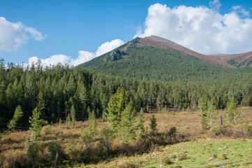 Altai valley covered with green forests in late august on a sunny morning, Russia, the Altai Republic