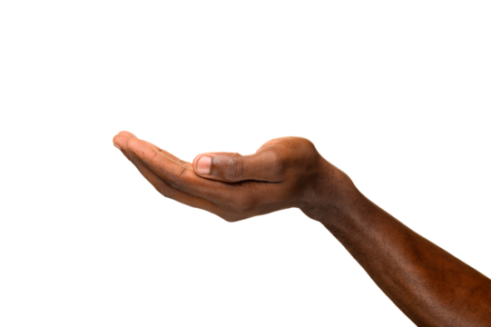 A human hand extended outward with the palm facing up, as if holding or offering something, against a transparent background. - Powered by Adobe