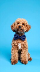 Adorable puppy wearing a bow tie against a vibrant background