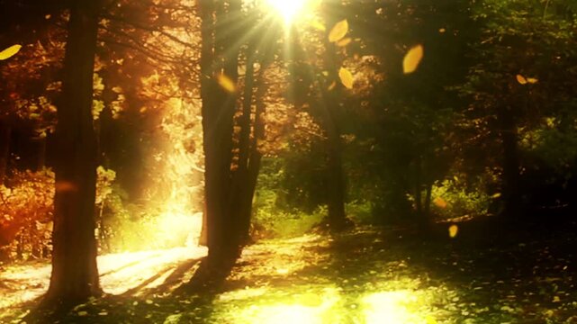 Isolated autumn leaves - loopable masked cg animation Autumn forest landscape with falling maple leaves tranquil forest in autumn