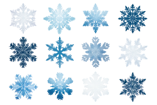 Collection of twelve intricate blue and white snowflake designs.