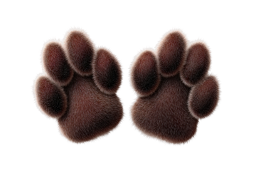 Realistic fluffy brown paw prints isolated on black background, cut out