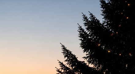 Silhouettes of evergreen trees against a gradient sky at dusk, showcasing a peaceful natural environment.
