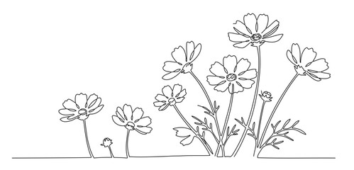 This illustration depicts flowers, resembling cosmos, growing from the ground. It has an abstract and minimalist design, giving the impression of being drawn with a single stroke of a pen.