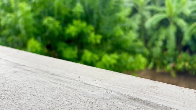 Close up white floor and raining green landscape background , video footage.