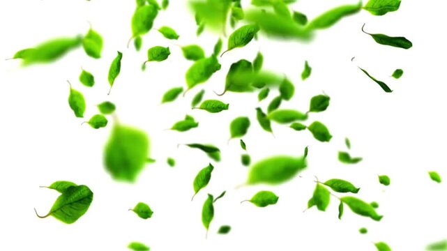 autumn trees in the park with falling maple leaves Cartoon or Japanese anime illustration style seamless looping time-lapse video animation background