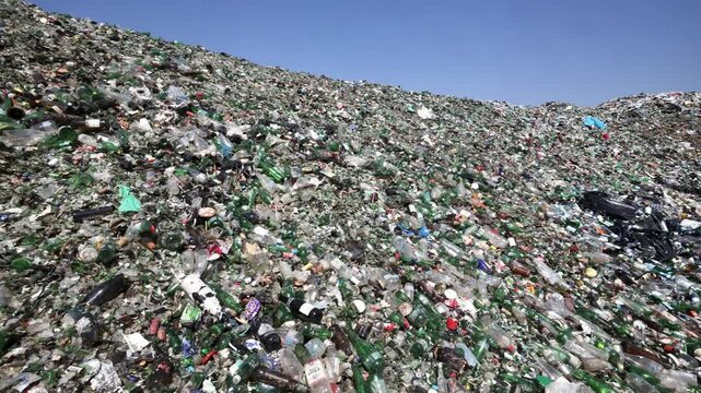 A waste sorting facility, also known as a Materials Recovery Facility (MRF) or recycling center, is a specialized plant that receives and separates mixed waste to isolate recyclable materials.