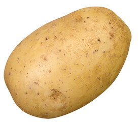 fresh raw potato tuber isolated