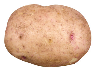 fresh raw potato tuber isolated