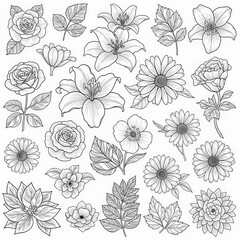 Detailed Line Art Floral Set with Roses Lilies and Daisies in Monochrome