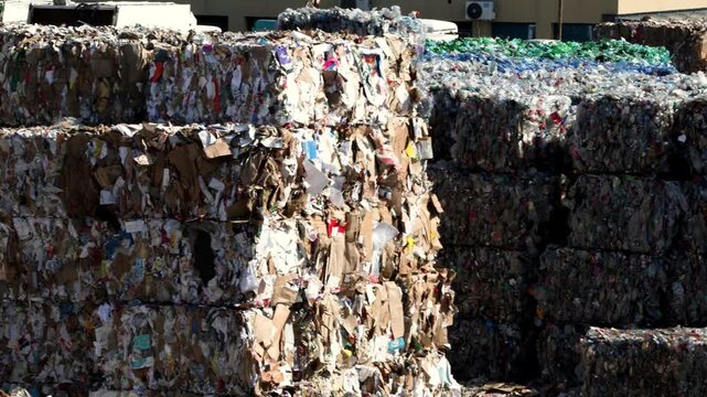 A waste sorting facility, also known as a Materials Recovery Facility (MRF) or recycling center, is a specialized plant that receives and separates mixed waste to isolate recyclable materials.