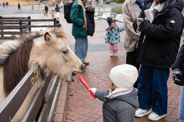 a baby girl wearing winter clothes feeding a carrot to a pony 