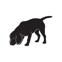 Dog silhouette sniffing ground, natural motion