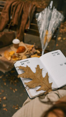 Autumn scene with a diary, coffee, and croissant on a park bench