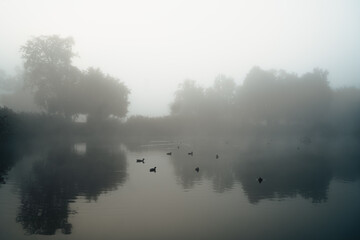 Mglisty poranek nad jeziorem, początek jesieni, Park Miejski w Piasecznie, Mazowieckie © Emilia