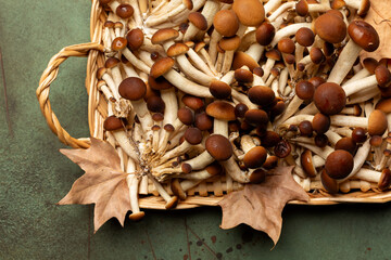 Raw Honey fungus or Chiodino or stamp edible mushrooms in a rettangular basket with autumn leaves...