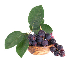 Serviceberry isolated on white background. Saskatoon, amelanchier, shadbush, juneberry, irga or sugarplum ripe berries in wooden bowl.