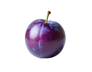 Single, deep purple plum, smooth skin with subtle light purple markings, stem visible