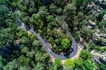 Winding road through lush forest