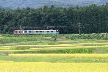 秋の田園風景の中を行く列車　妙高はねうまライン