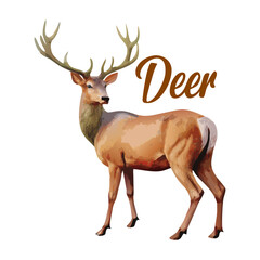 Deer  Clipart  Wild Animal Transparent Background Illustration. Deer vector , Deer design, Deer logo, Deer icon, Deer concept, Deer template, Deer topics Deer art, Deer cartoon.