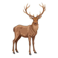 Deer  Clipart  Wild Animal Transparent Background Illustration. Deer vector , Deer design, Deer logo, Deer icon, Deer concept, Deer template, Deer topics Deer art, Deer cartoon.