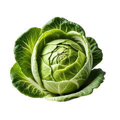 Fototapeta premium Close-up of a vibrant green head of cabbage, showing intricate leaf structure