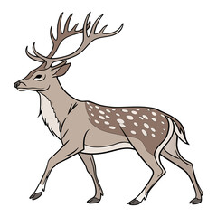 Deer  Clipart  Wild Animal Transparent Background Illustration. Deer vector , Deer design, Deer logo, Deer icon, Deer concept, Deer template, Deer topics Deer art, Deer cartoon.