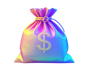 Colorful money bag with dollar sign