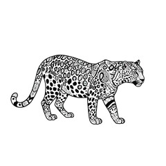 Majestic jaguar in detailed outline art walking across white space serene wild animal silhouette