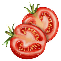 A cross-section of a tomato. Watercolor drawing of a fresh tomato. Hand-drawn watercolor. Vegetables. Perfect for brand packaging, corporate identity, eco-products, agriculture, and menu design.